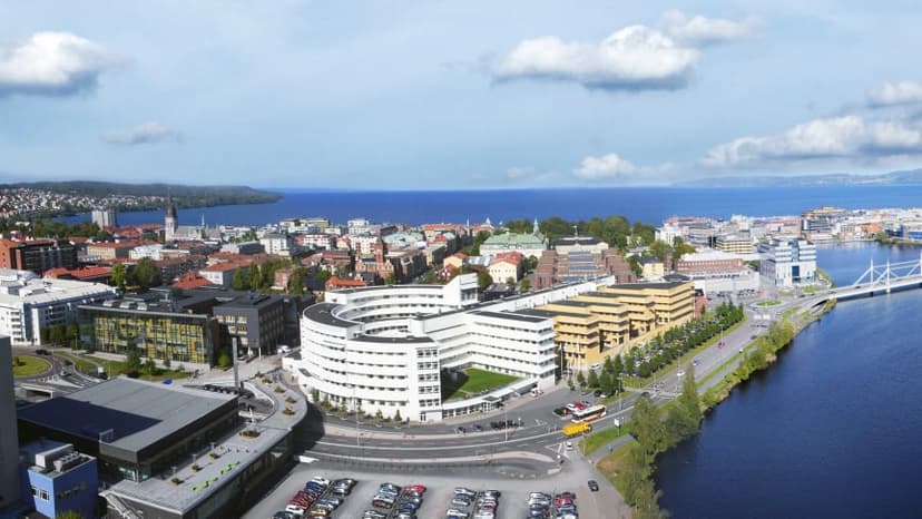 Jönköping University
